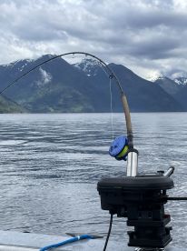 First Trip 2022 to Toba Inlet