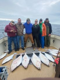 Homer Report Photo 1
