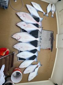 Kachemak Bay Report Photo 4