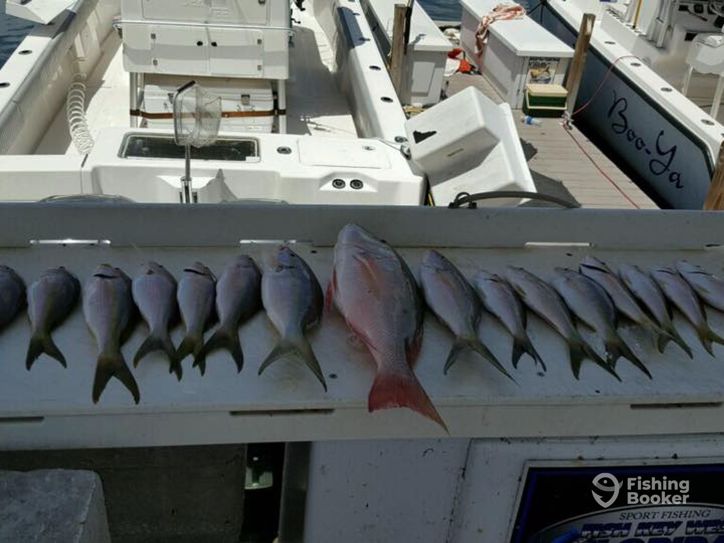 Key West Report Photo 0