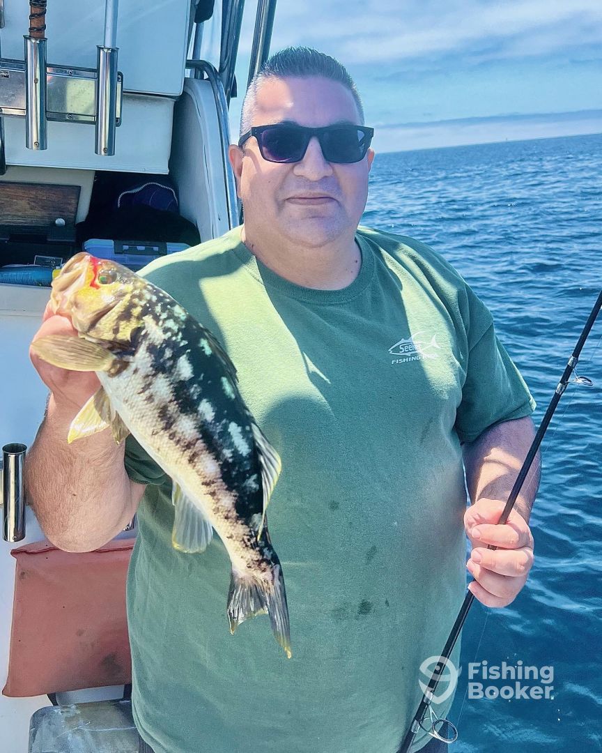 Catalina Island Report Photo 0
