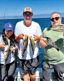 Catalina Island Report Photo 2