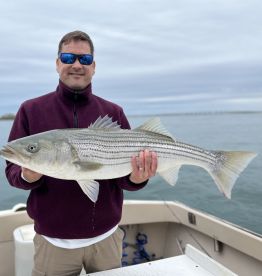 Hampton Bays Report Photo 2