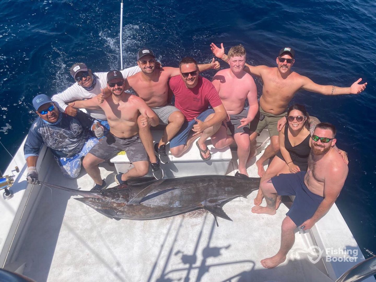 Blue Marlin