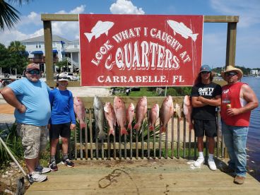 Apalachicola Bay Report Photo 1