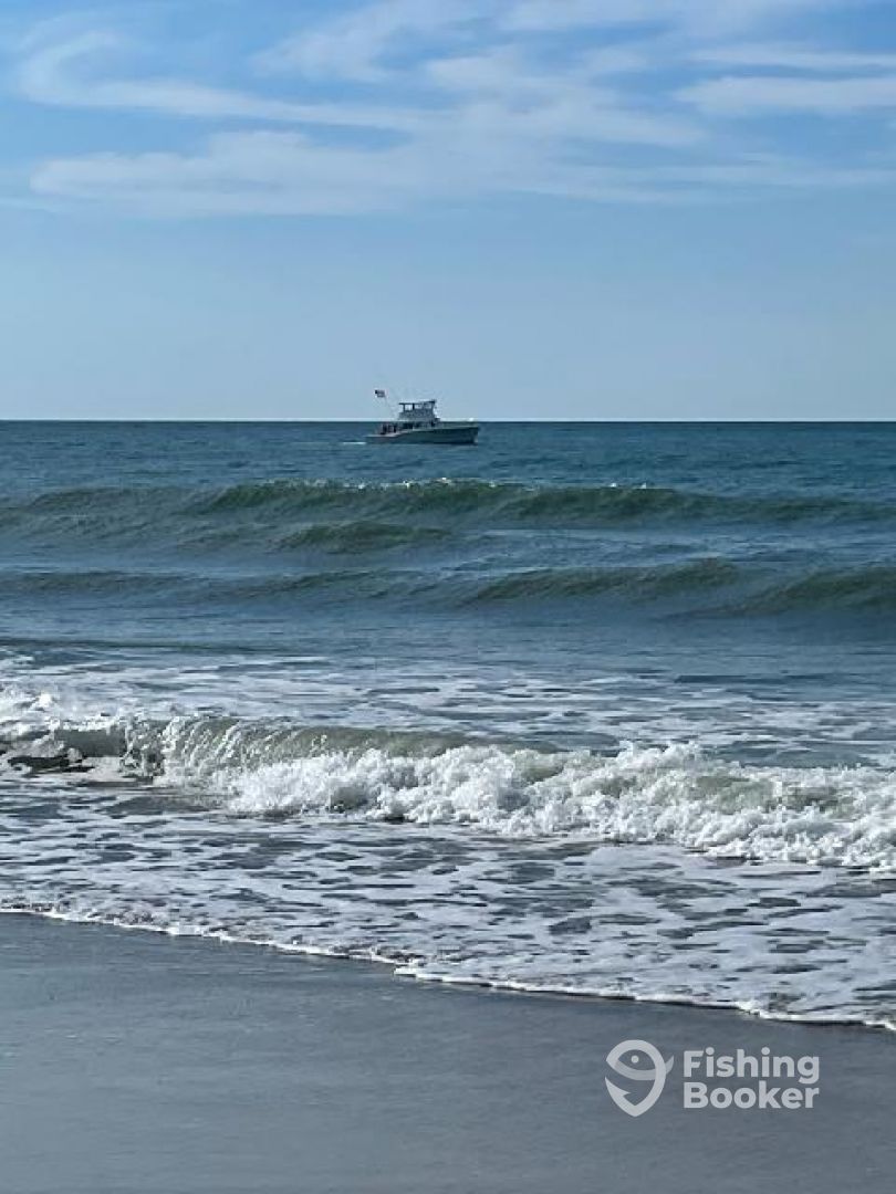 Bogue Sound Report Photo 0