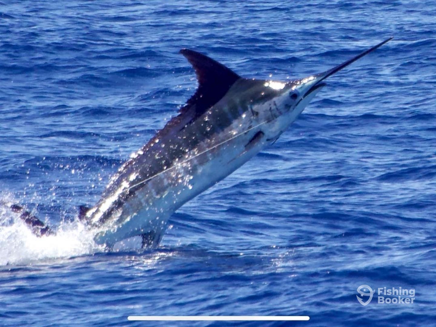 Canary Islands Report Photo 0