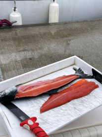 Resident Coho Fishery