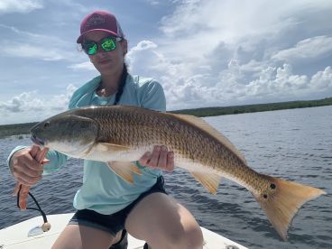 Big Reds chewing 