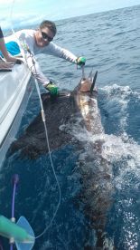 Costa Rica Report Photo 1
