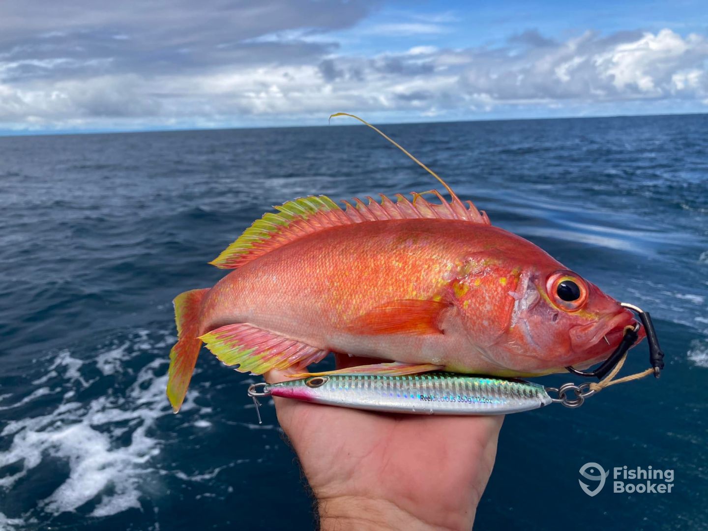 Puntarenas Province Report Photo 0