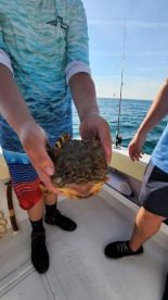 Kure Beach Report Photo 1