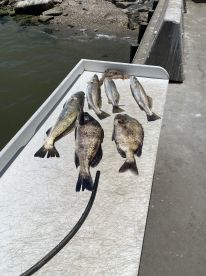 Galveston Report Photo 2