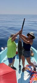 Emerald Coast Report Photo 3