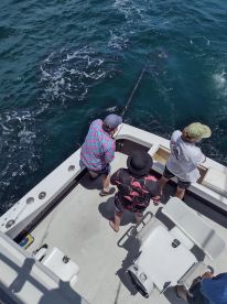Wanchese Report Photo 2