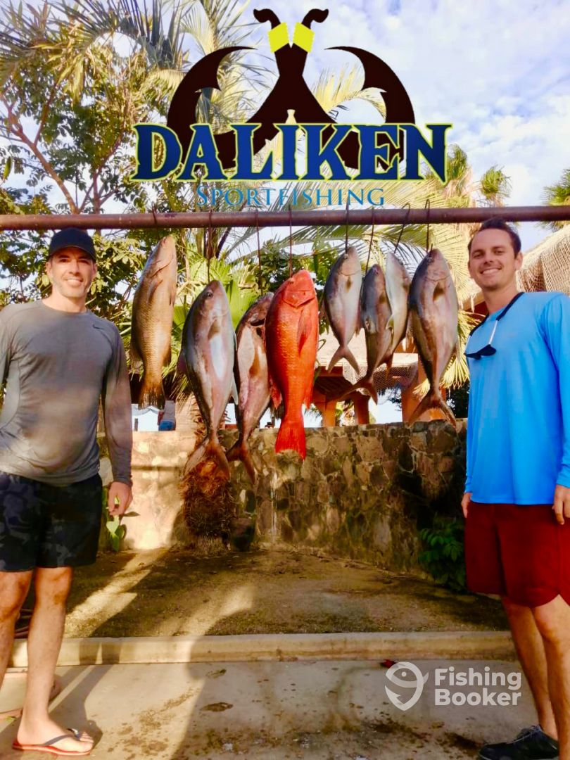 San Jose del Cabo Report Photo 0