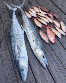Fort Lauderdale Report Photo 2