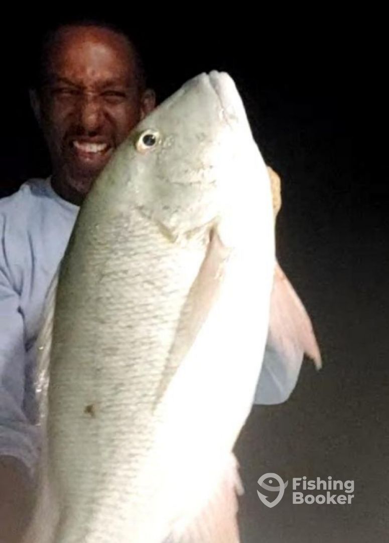 Big Mutton Snapper