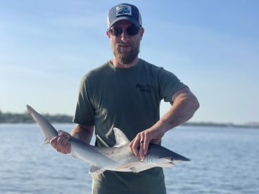 Sharks and Tacos