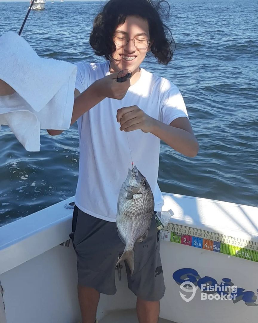 Jamaica Bay Report Photo 0