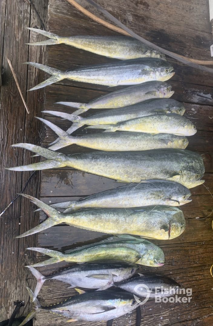 Atlantic Beach Report Photo 0