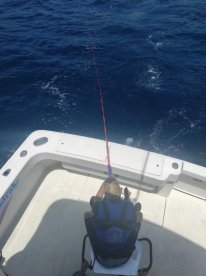 Faro District Report Photo 1