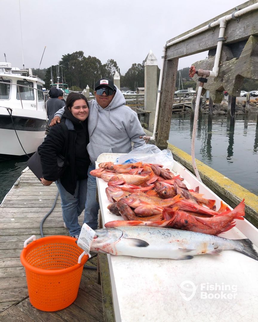 Salmon show in Bodega bay for the 4th Bodega Bay Fishing Report