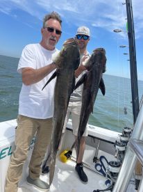 Virginia Beach Report Photo 1