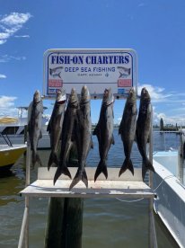 Biloxi Report Photo 2