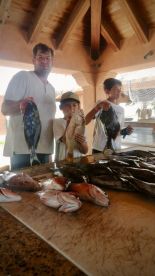 San Jose del Cabo Report Photo 1