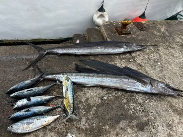 Manzanillo Report Photo 1