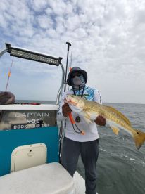 Bull Red!