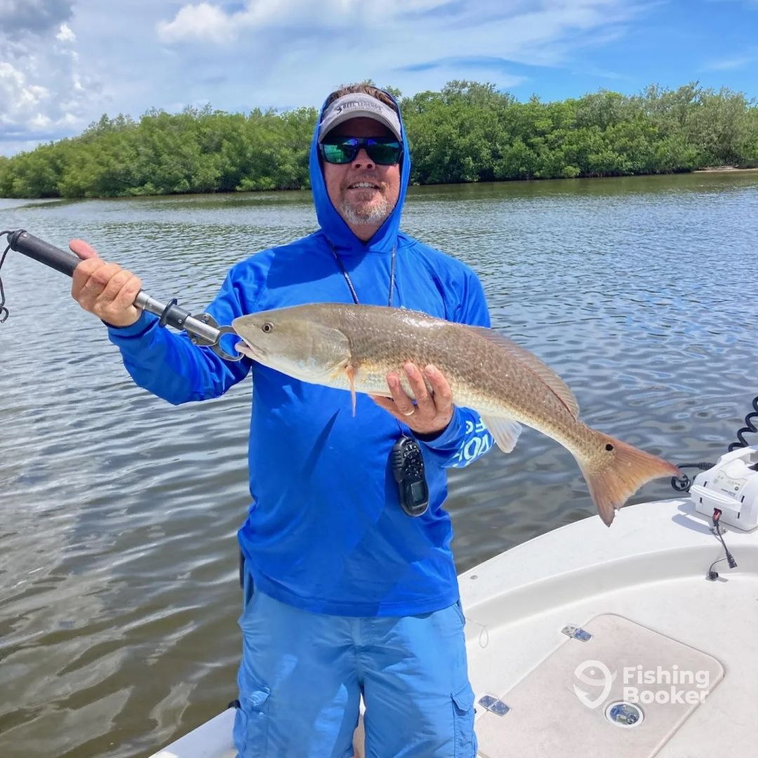 Bonita Springs Report Photo 0