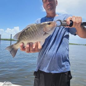 Bonita Springs Report Photo 2