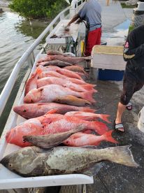 Clearwater Report Photo 2