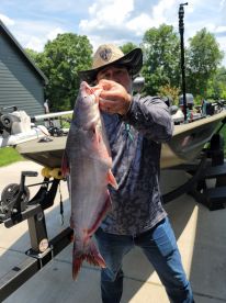 Catfish