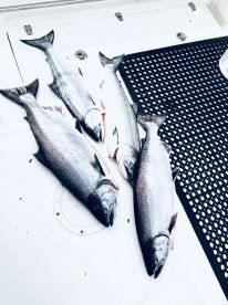 Sausalito Report Photo 1