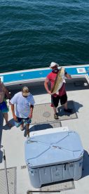 Virginia Beach Report Photo 1