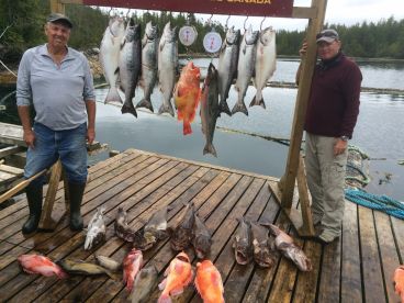 A days catch