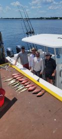 Panama City Report Photo 2