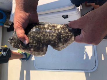 High Summer Fishing Update