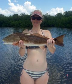 Inshore fishing has been steady action