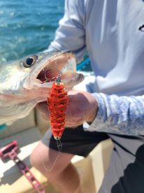 Lakeside Marblehead Report Photo 1