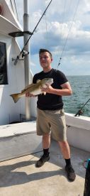 Norfolk Report Photo 2