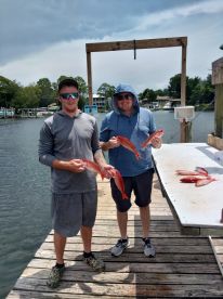 Mingo's, triggers and grouper 