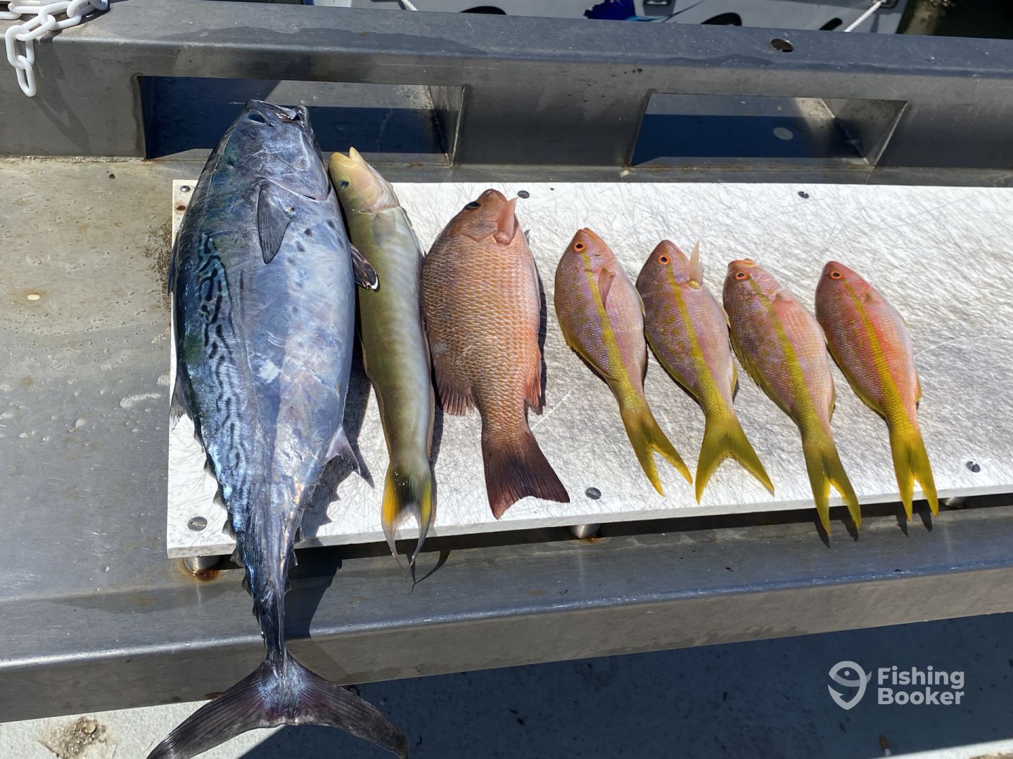 Treasure Coast Report Photo 0