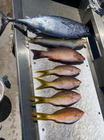 Treasure Coast Report Photo 3