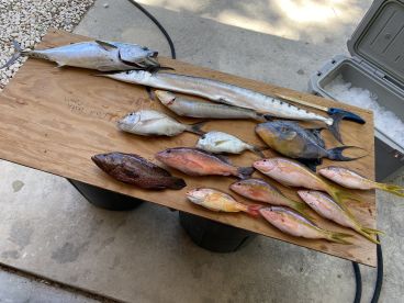 Treasure Coast Report Photo 2