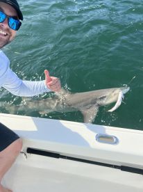 Dry Tortugas Report Photo 1