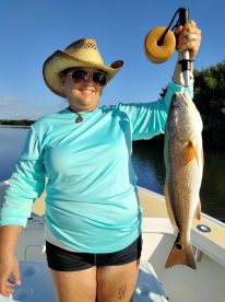 Pinellas County Report Photo 1